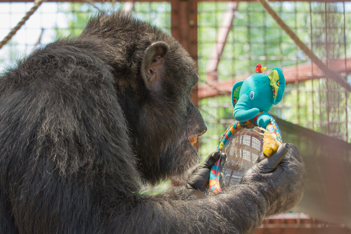 Binky at Fauna Foundation by NJ WIght